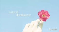 以花之名，遇見最美的你！ — 獻給金茂裝飾的女神們！